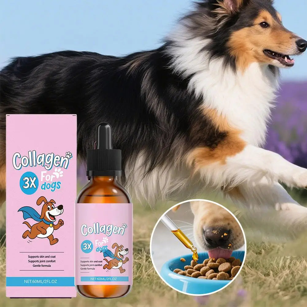 60ML Pet Collagen Based Staple Food Combined With Nutritional Gentle Formula For Hair Bone Strength Digestive System Skin Care