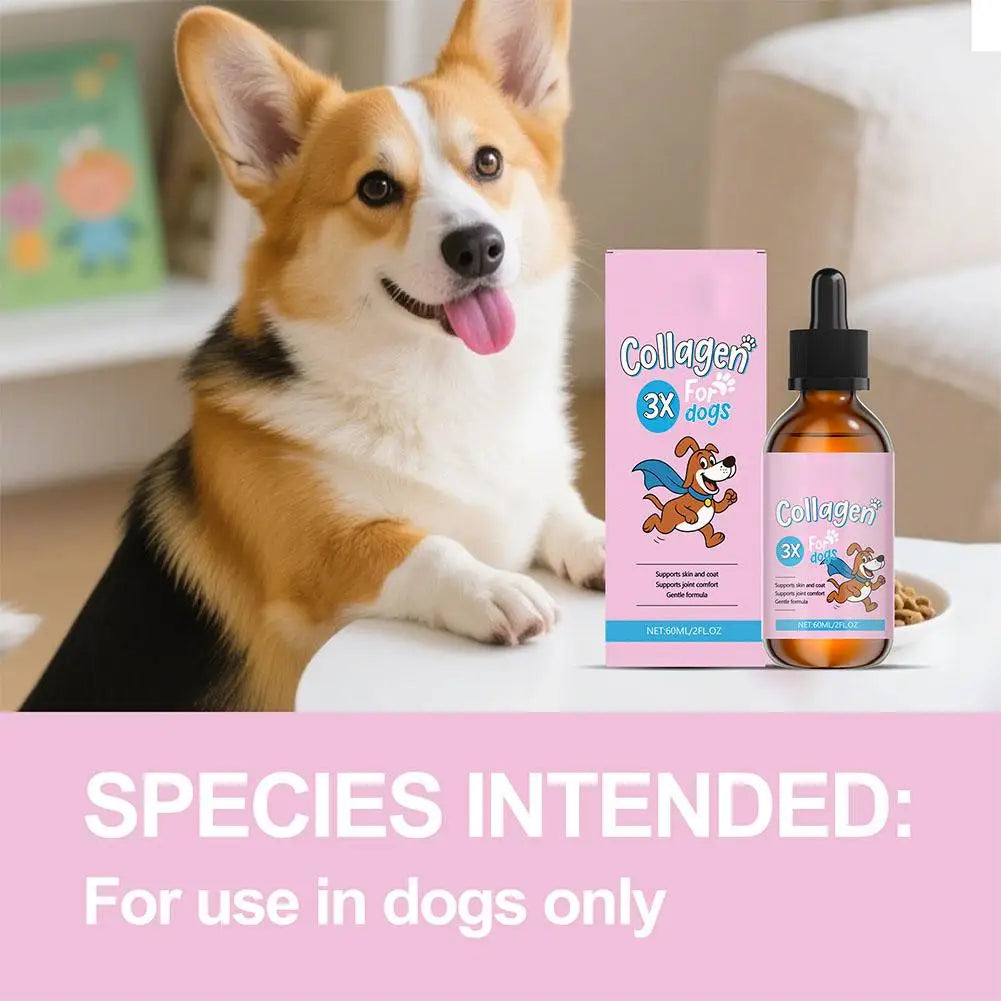 60ML Pet Collagen Based Staple Food Combined With Nutritional Gentle Formula For Hair Bone Strength Digestive System Skin Care