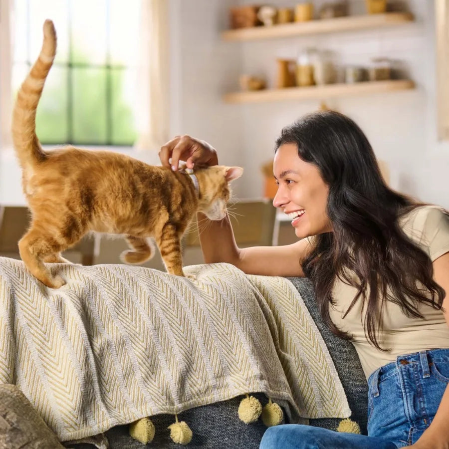 Original Choice Dry Cat Food 30 lb Bag for Daily Feeding High-Quality Ingredients Natural Color and Flavor Enhanced Nutrition