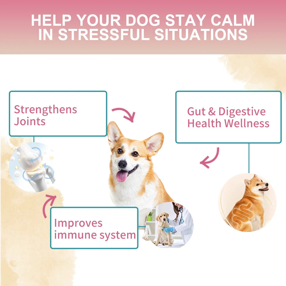 Dog Multivitamin Powder with Probiotics, Glucosamine & Digestive Enzymes, Immune System & Gut,Supports Joint Health（chicken）