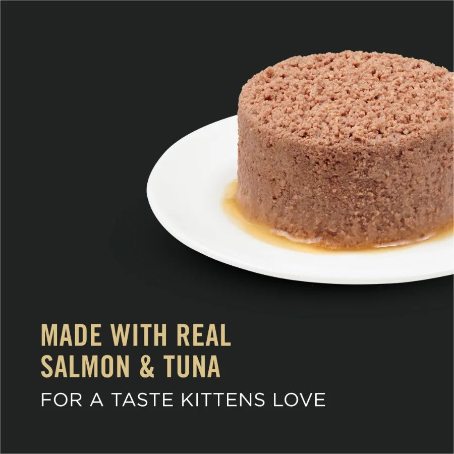 Grain-Free Salmon and Tuna Wet Cat Food for Kittens 3 oz Cans 24 Pack