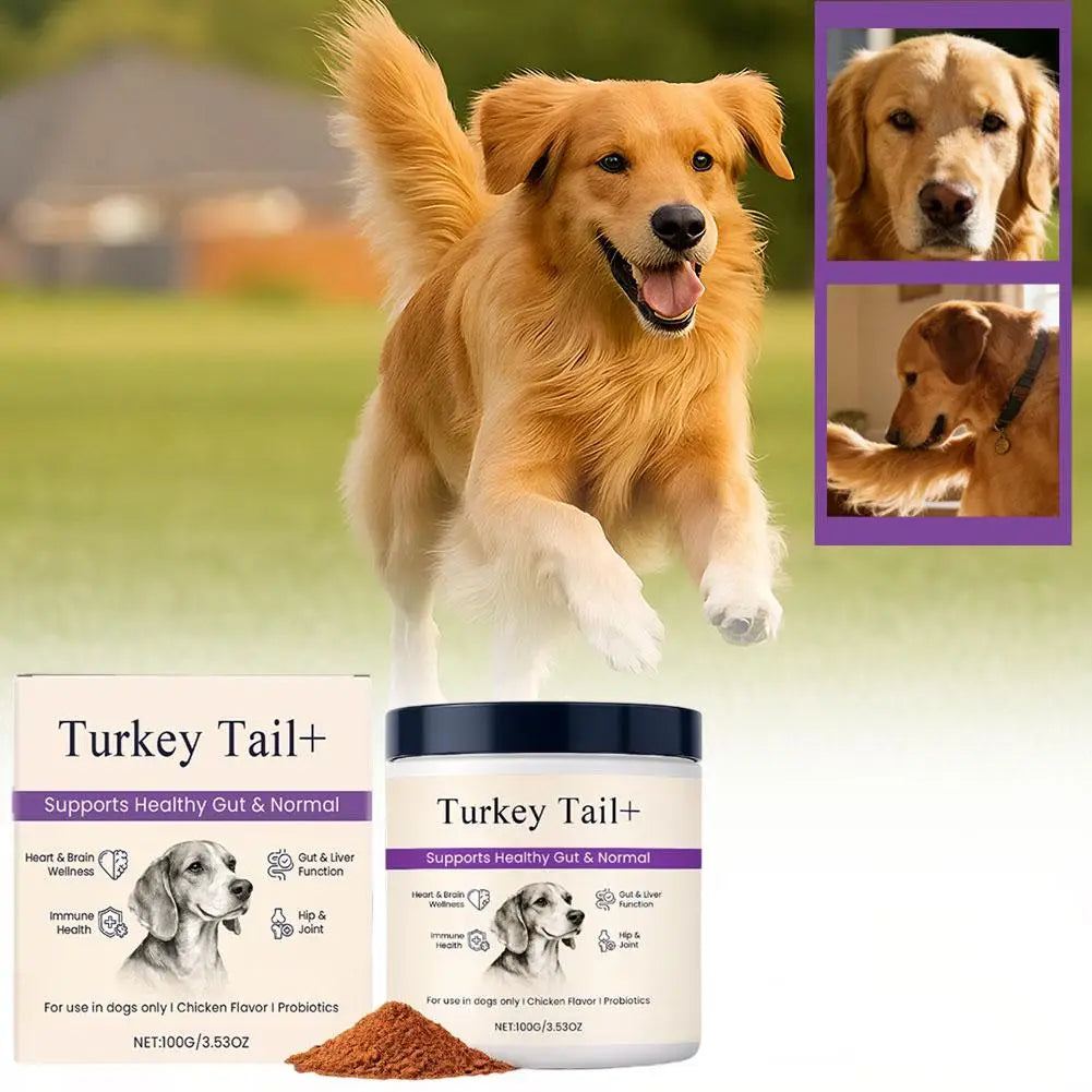 Bacon Flavor Dog Probiotic Powder Gut Flora Balance Digestive Aid Intestinal Health Care For Puppy Adult Dogs