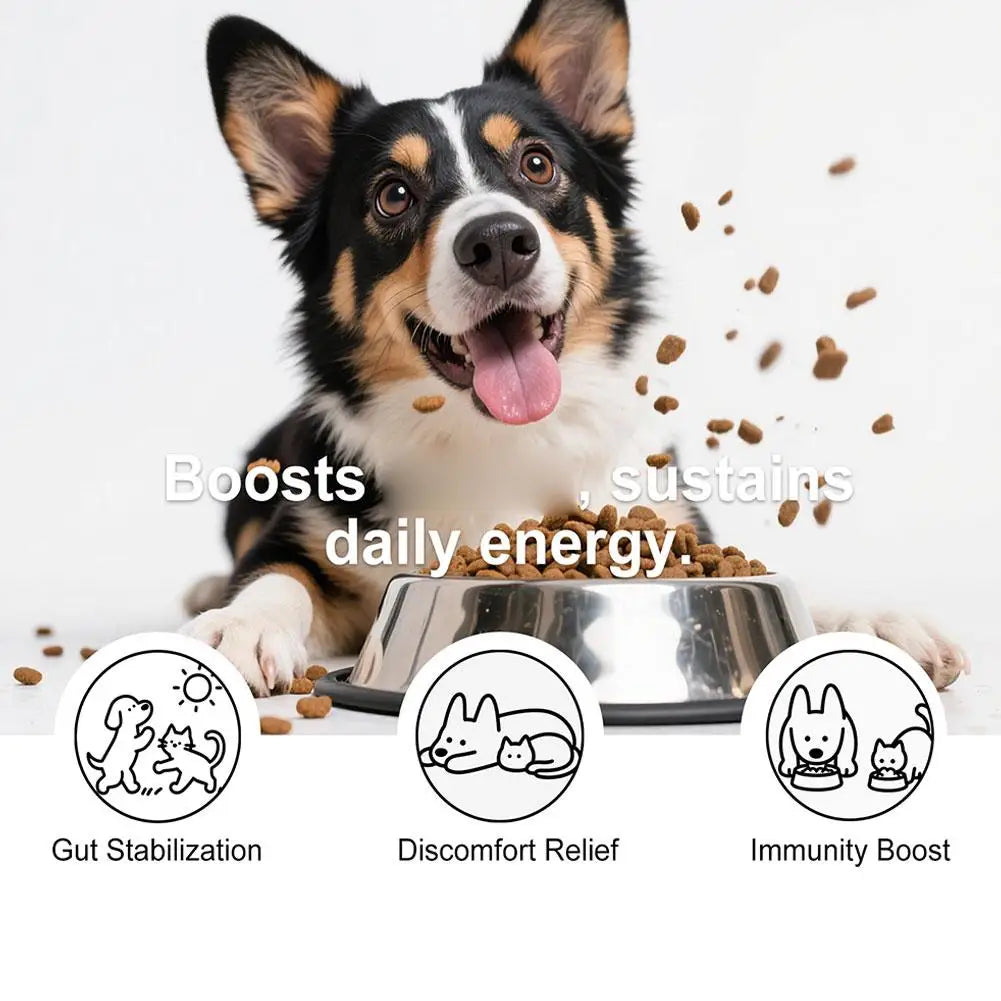 Bacon Flavor Dog Probiotic Powder Gut Flora Balance Digestive Aid Intestinal Health Care For Puppy Adult Dogs