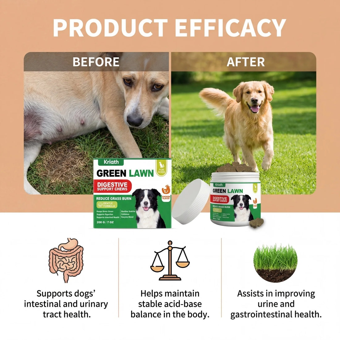 Natural Dog Digestive Support Probiotic Chews Chicken Flavored Supplement for Constipation Relief Puppy Stomach Care 200g