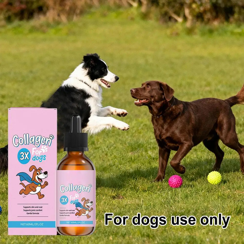 60ML Pet Collagen Based Staple Food Combined With Nutritional Gentle Formula For Hair Bone Strength Digestive System Skin Care
